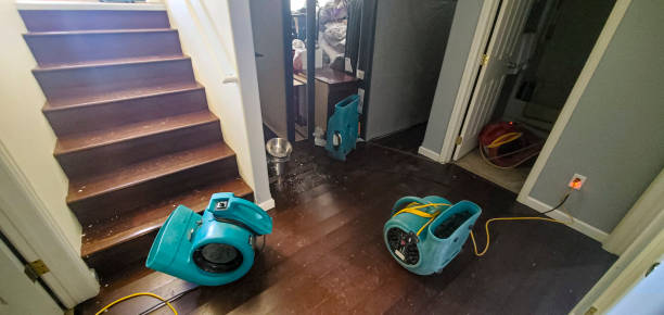 Best Water damage restoration specialists  in Lake City, MN