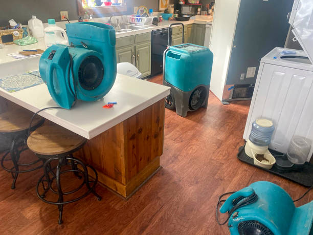 Best 24/7 water damage repair  in Lake City, MN