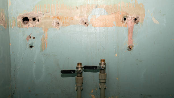 Best Ceiling water damage repair  in Lake City, MN