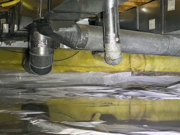 Best 24-hour water damage restoration  in Lake City, MN
