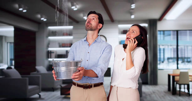 Best Sewage cleanup and water damage restoration  in Lake City, MN