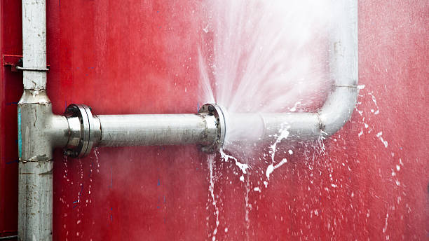 Best Emergency water extraction  in Lake City, MN