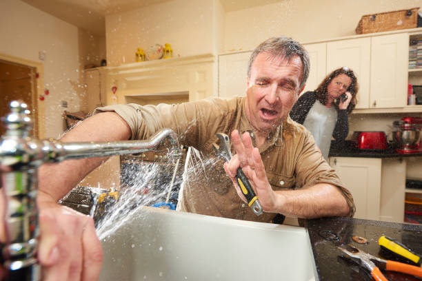 Best Water damage cleanup near me  in Lake City, MN